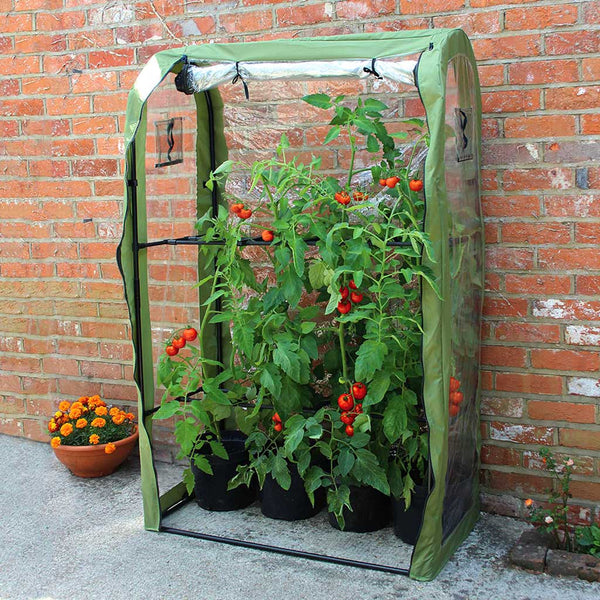 Haxnicks Tomato Crop Booster Poly Cover