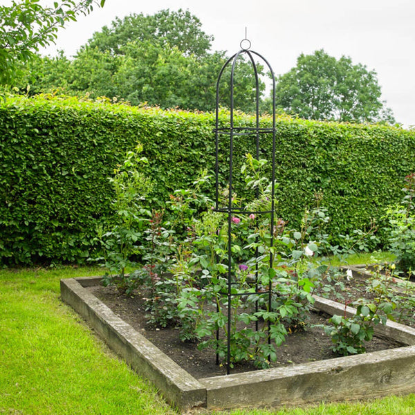 Kingfisher 6ft Garden Obelisk