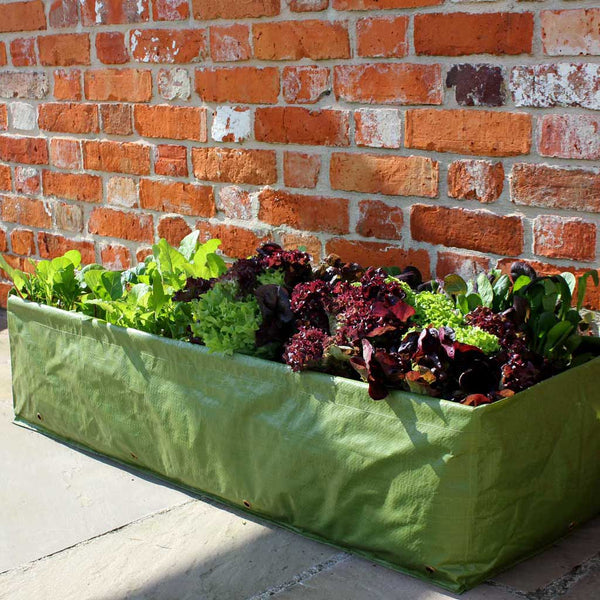 Haxnicks Multi-Purpose Garden Grow Bag planted with lettuce