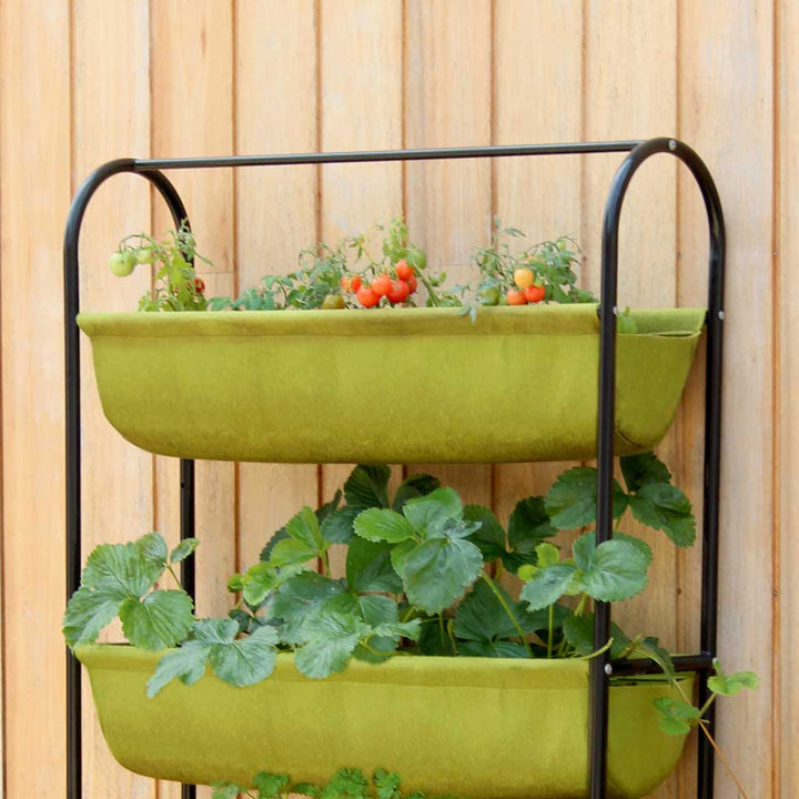 Haxnicks Vigoroot Outdoor Garden Planter