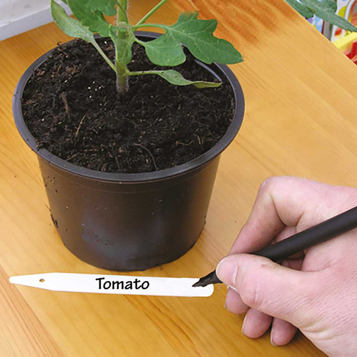 Plant label marked 'Tomato' with Tildenet Waterproof Garden Marker