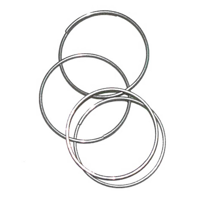 Tildenet Zinc Coated Plant Rings on a white background