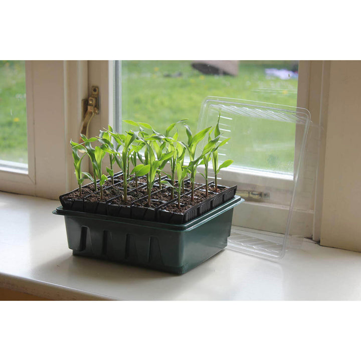 Haxnixcks Compact Seed Root Trainer