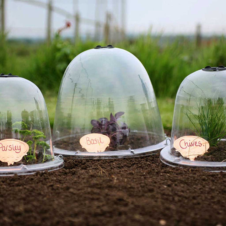 Haxnicks Original Garden Cloches